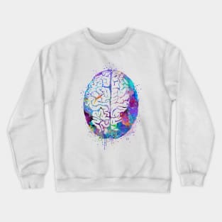 Human Brain Colorful Watercolor Anatomy Gift Crewneck Sweatshirt